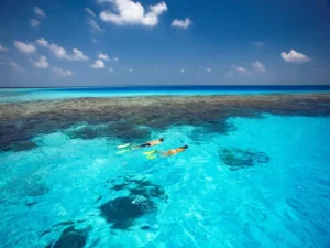excursión isla saona vip